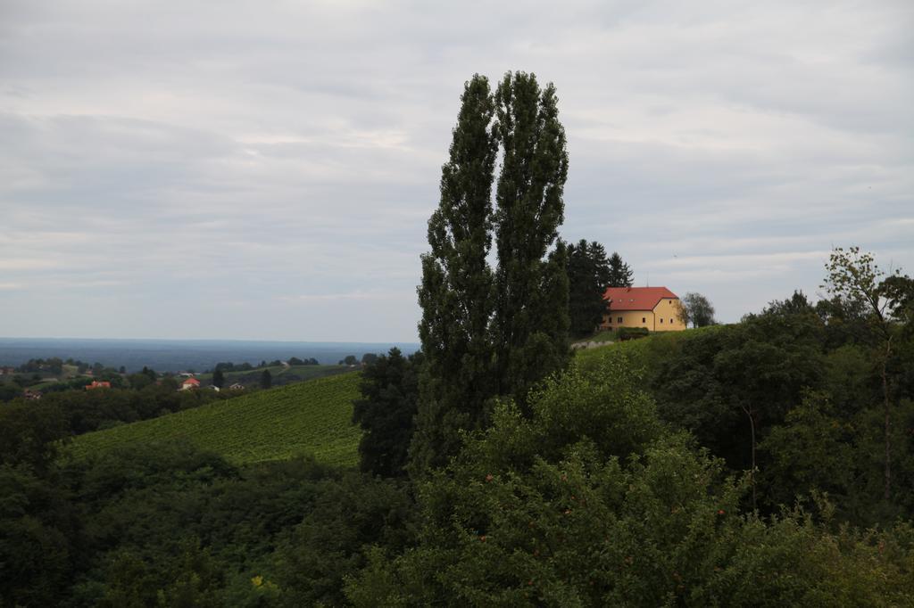 Holiday Home Maderka Strigova 외부 사진